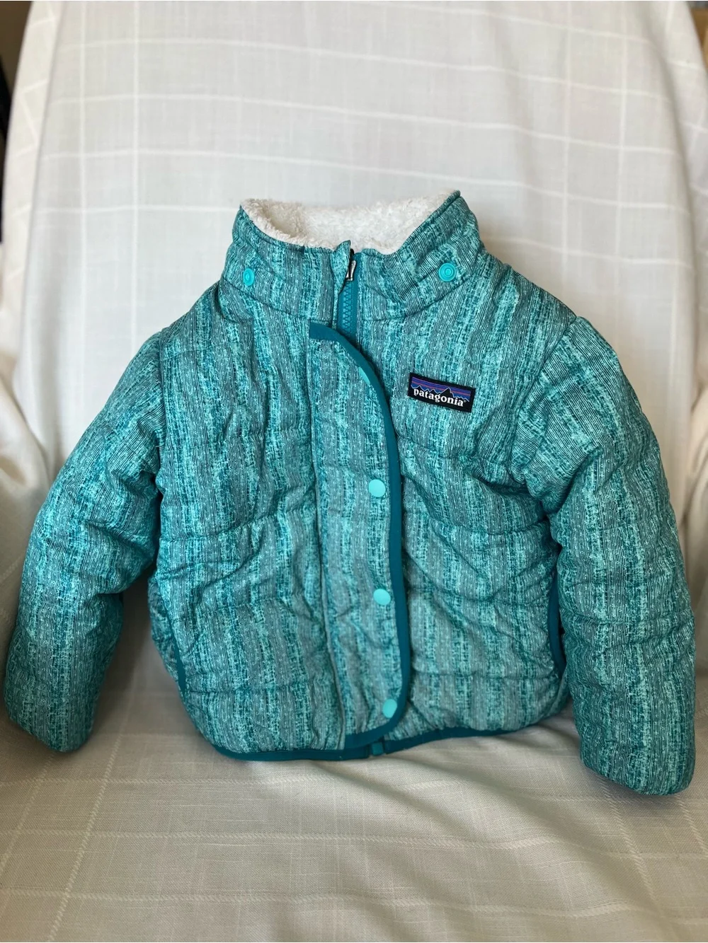 Patagonia Teal & White Reversible Hooded Jacket